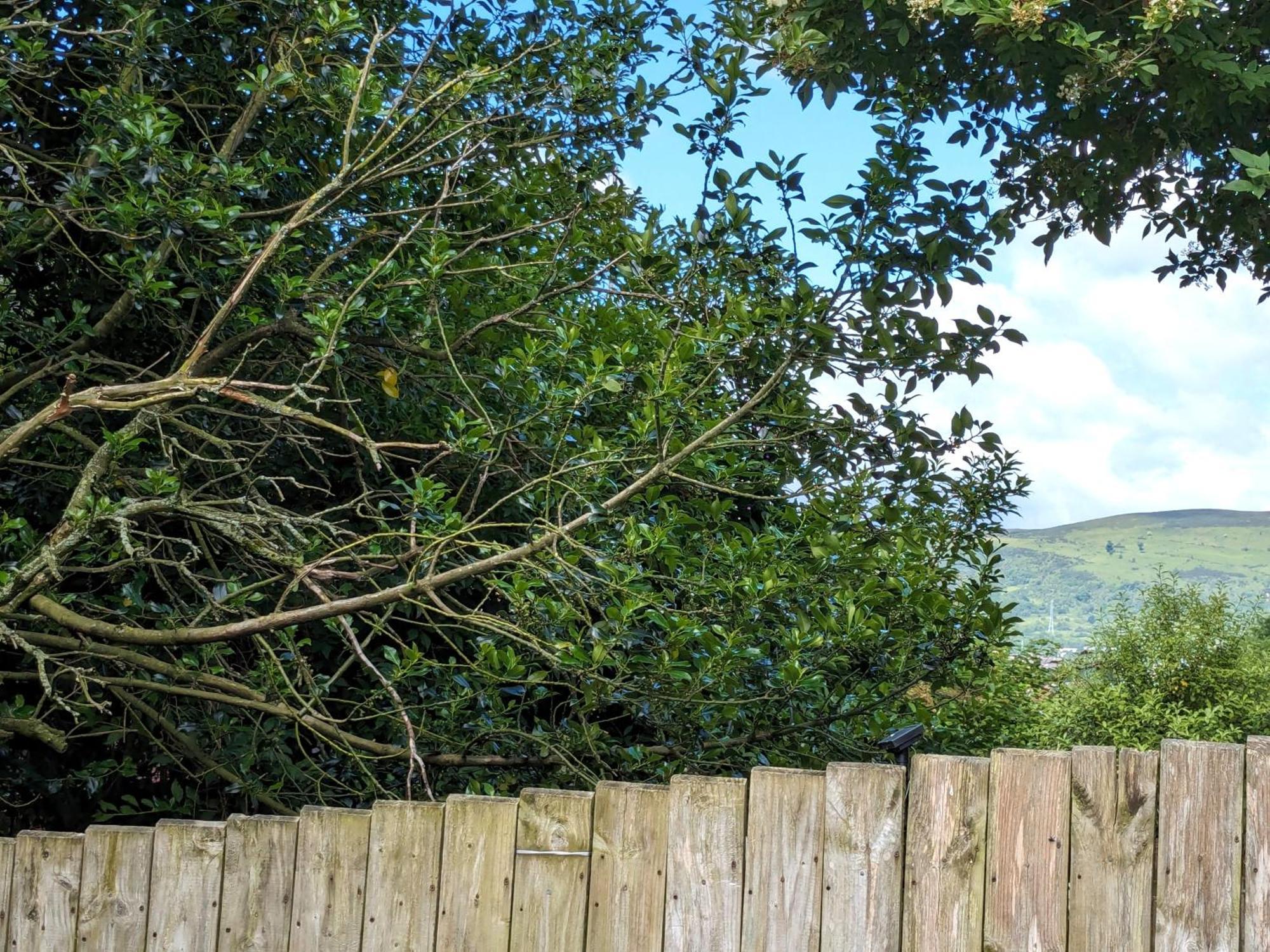 Heart Of Belfast With Private Garden Villa Екстериор снимка